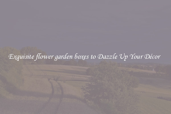 Exquisite flower garden boxes to Dazzle Up Your Décor  