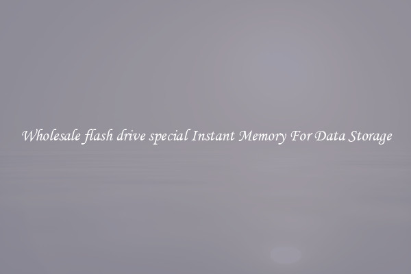 Wholesale flash drive special Instant Memory For Data Storage