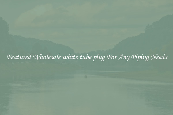 Featured Wholesale white tube plug For Any Piping Needs