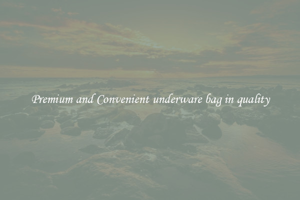 Premium and Convenient underware bag in quality
