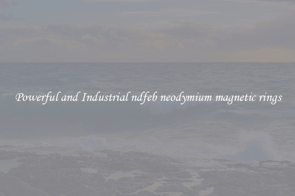Powerful and Industrial ndfeb neodymium magnetic rings