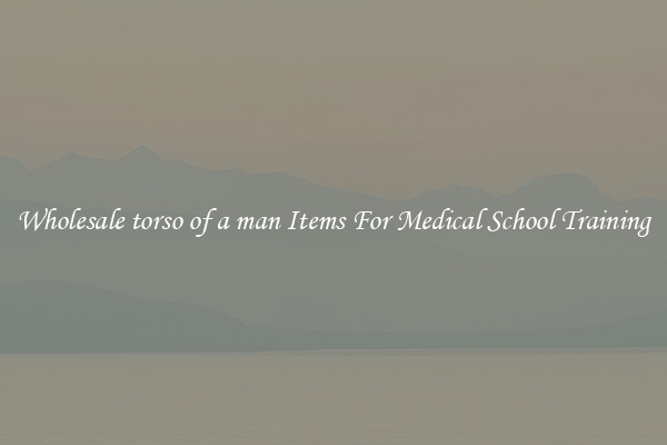 Wholesale torso of a man Items For Medical School Training