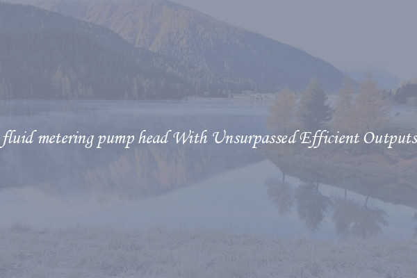 fluid metering pump head With Unsurpassed Efficient Outputs
