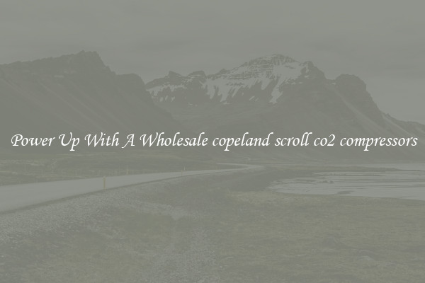 Power Up With A Wholesale copeland scroll co2 compressors