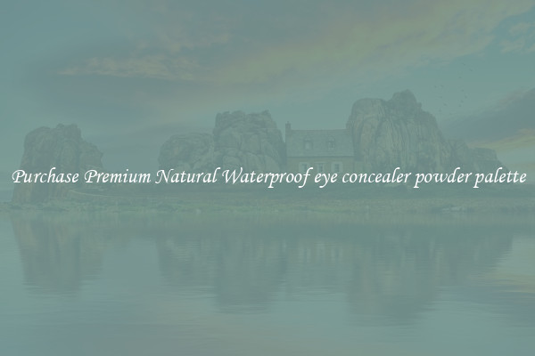 Purchase Premium Natural Waterproof eye concealer powder palette