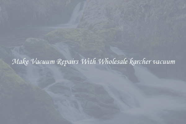 Make Vacuum Repairs With Wholesale karcher vacuum