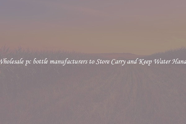 Wholesale pc bottle manufacturers to Store Carry and Keep Water Handy