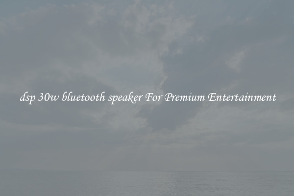 dsp 30w bluetooth speaker For Premium Entertainment