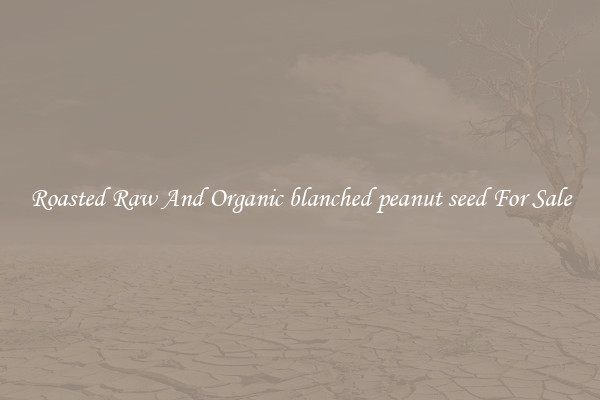 Roasted Raw And Organic blanched peanut seed For Sale