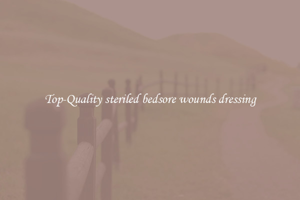 Top-Quality steriled bedsore wounds dressing