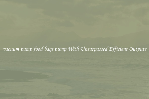 vacuum pump food bags pump With Unsurpassed Efficient Outputs