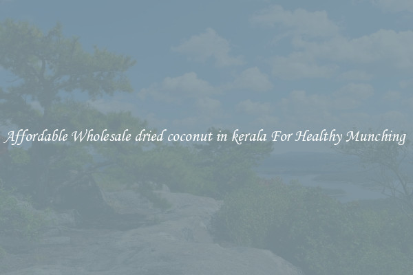 Affordable Wholesale dried coconut in kerala For Healthy Munching 