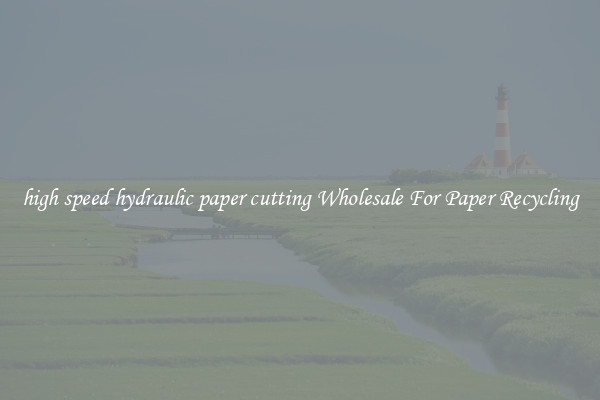 high speed hydraulic paper cutting Wholesale For Paper Recycling
