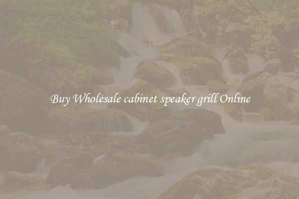 Buy Wholesale cabinet speaker grill Online