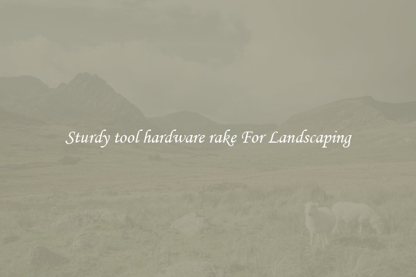Sturdy tool hardware rake For Landscaping