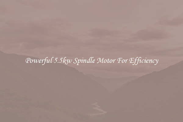 Powerful 5.5kw Spindle Motor For Efficiency